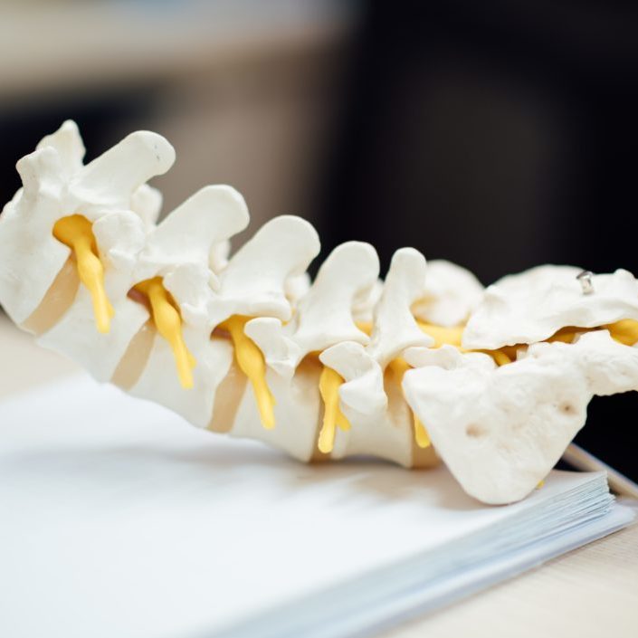 Spinal Column Segment